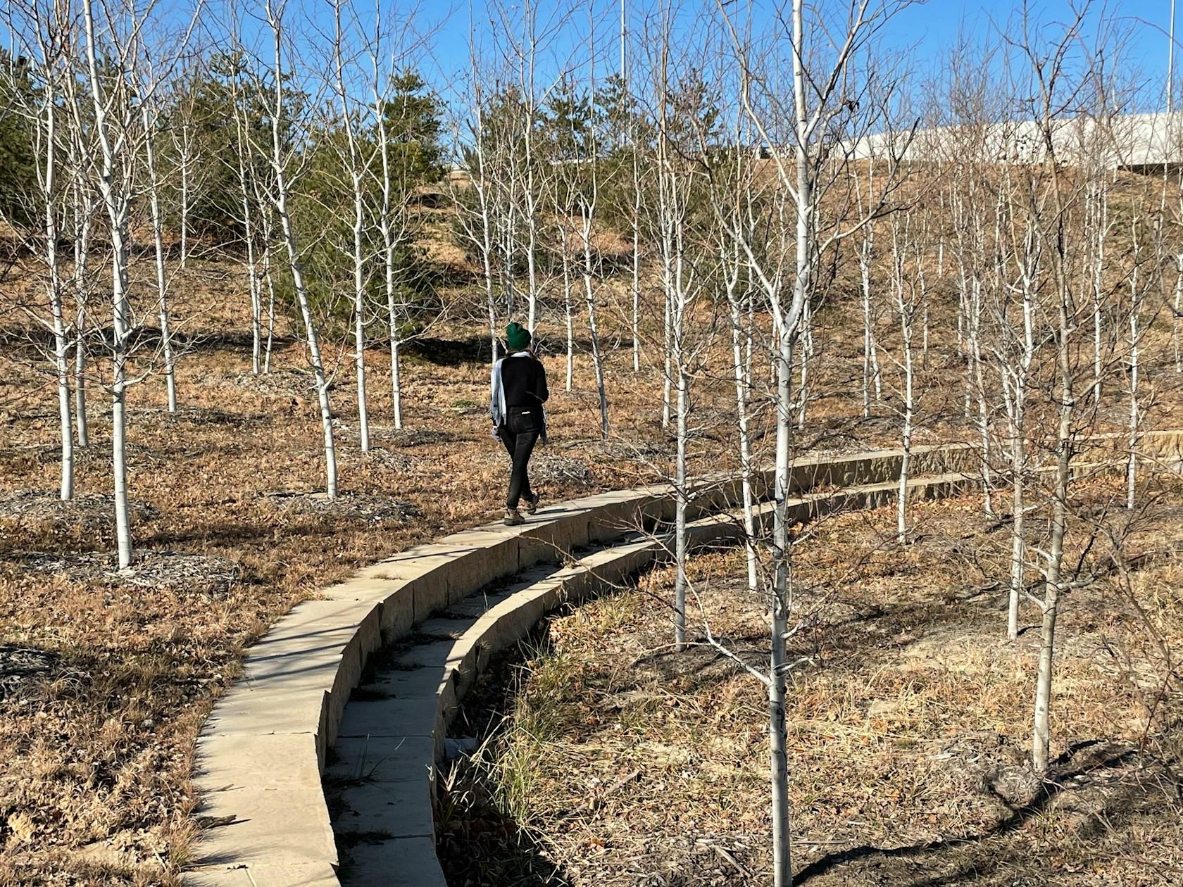 Heartwood Greenways and Stormwater Masterplan - image 17