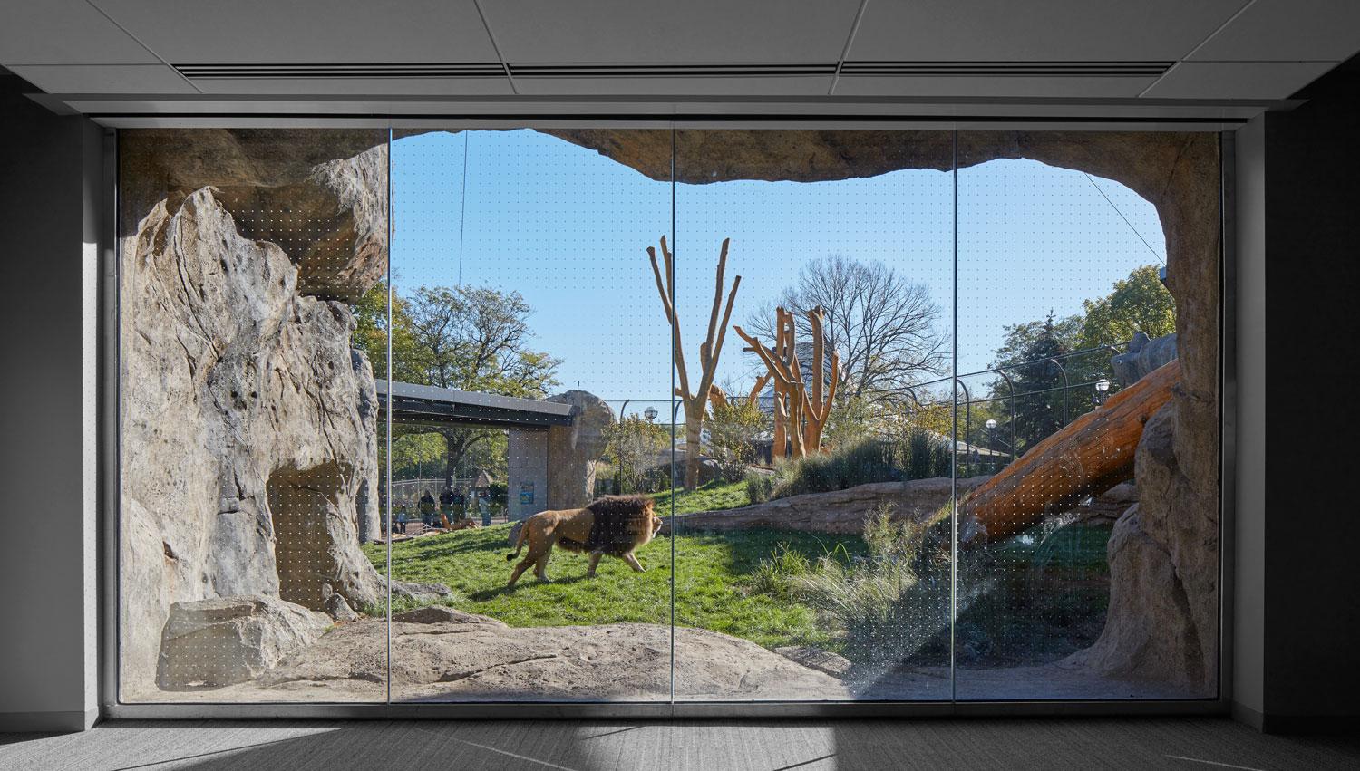 Lincoln Park Zoo Pepper Family Wildlife Center - image 13