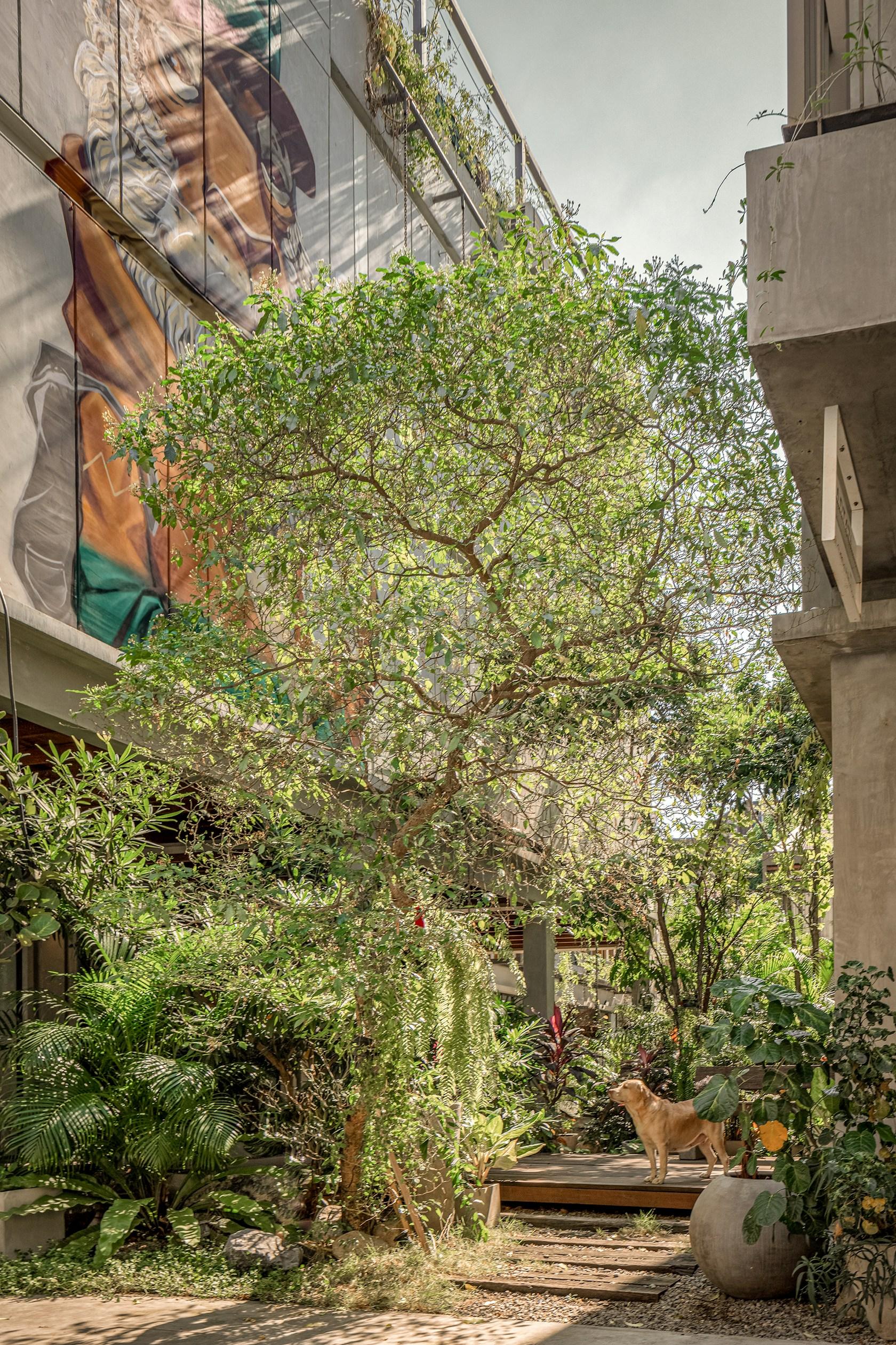 Tamni Hostel - image 9