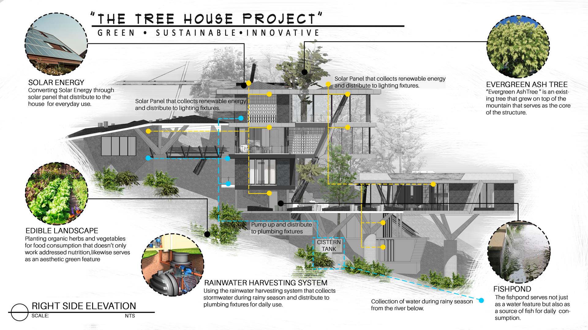 “𝗧𝗛𝗘 𝗧𝗥𝗘𝗘 𝗛𝗢𝗨𝗦𝗘” (Multi Level Residential house) - image 7