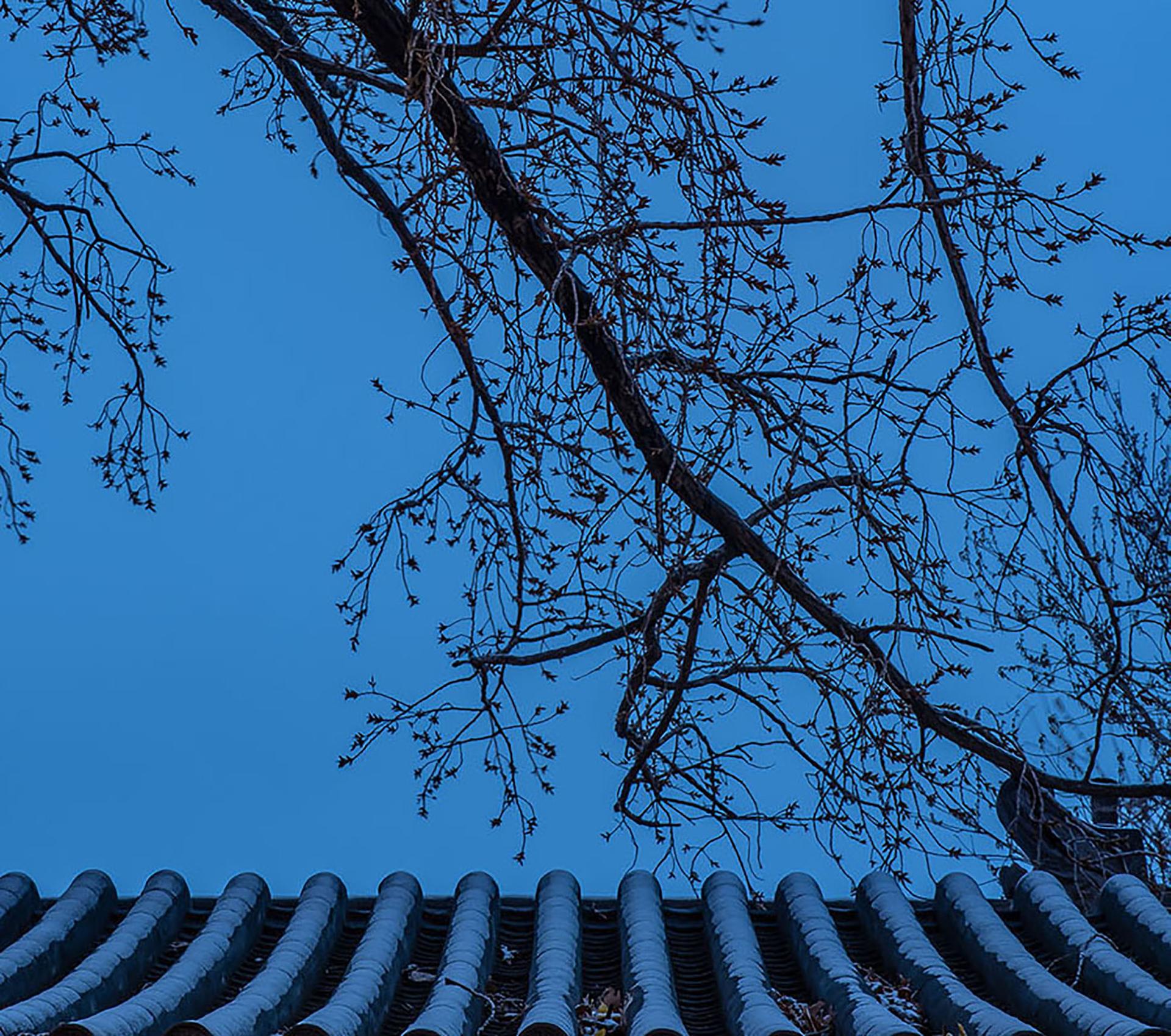 La maison Xun - LDH Design - image 4