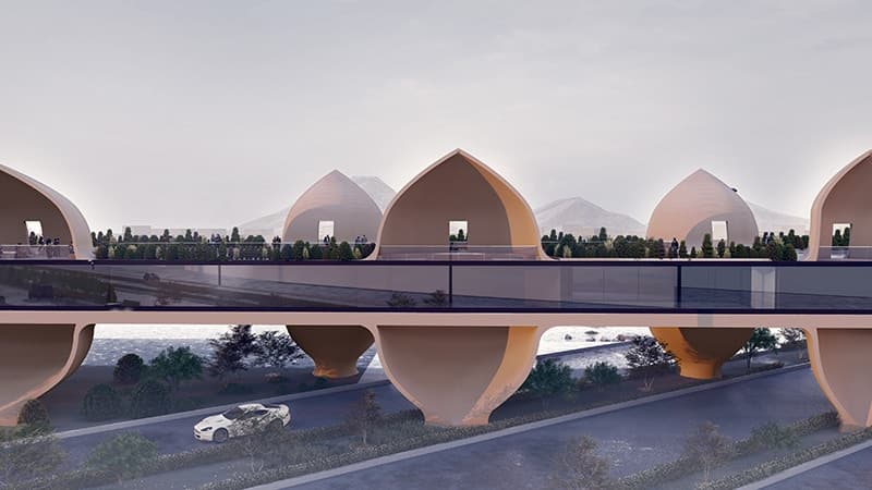 Knowledge Bridge - image 2