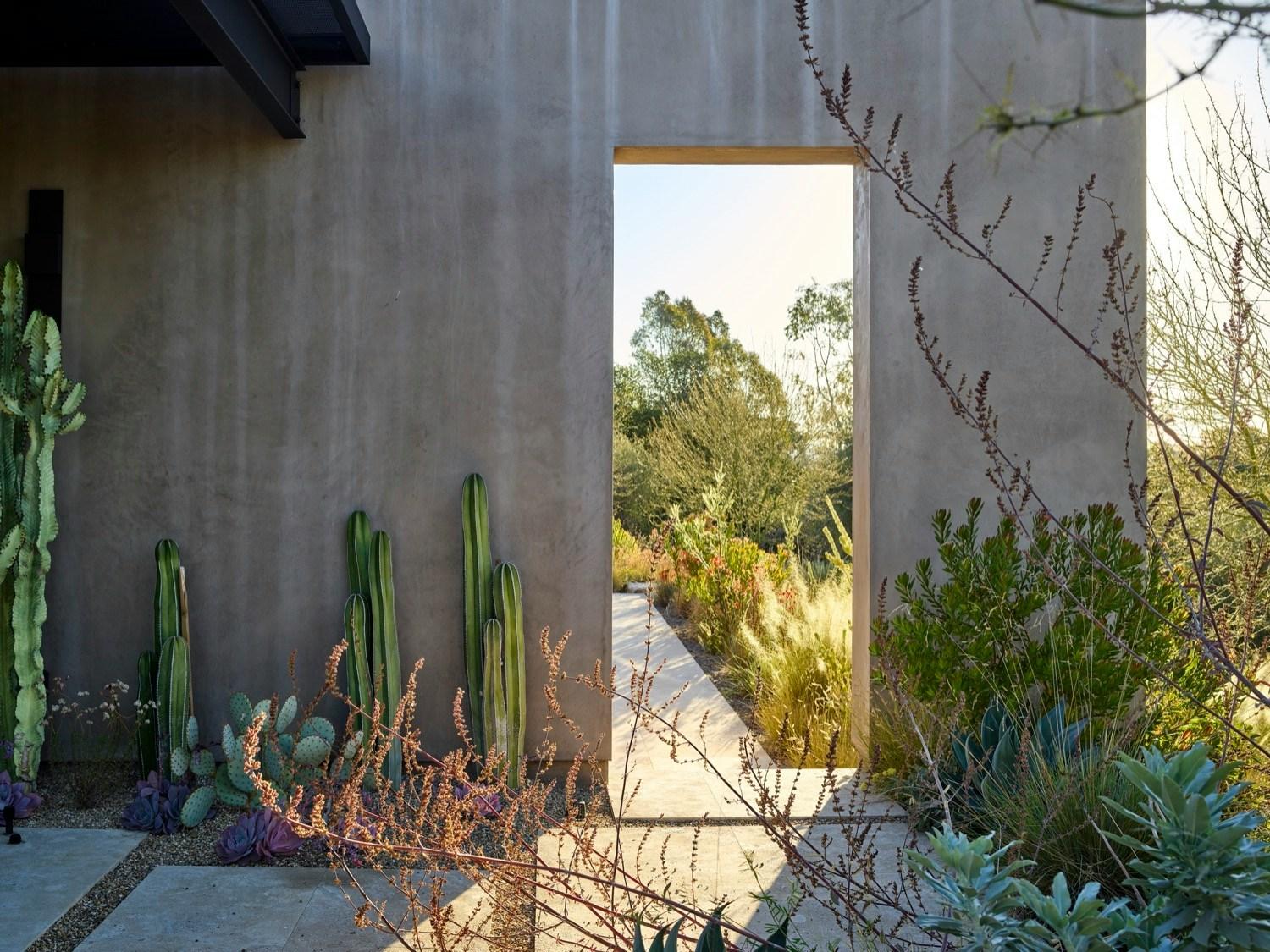 Dry Garden Poetry - image 4