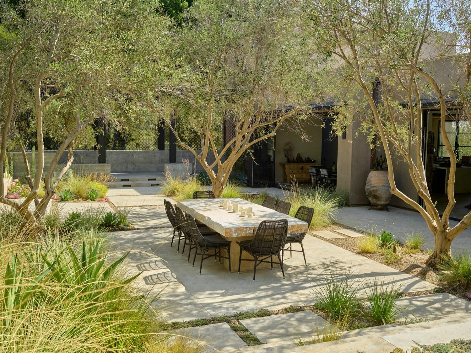 Dry Garden Poetry - image 5