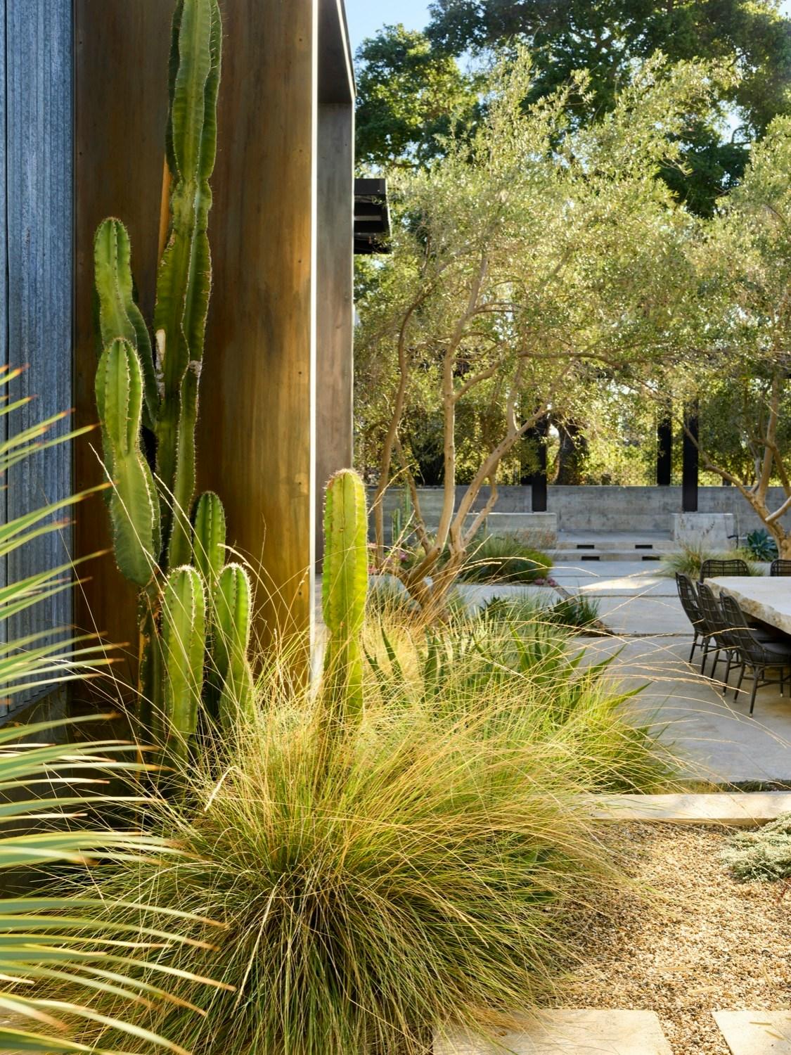 Dry Garden Poetry - image 7