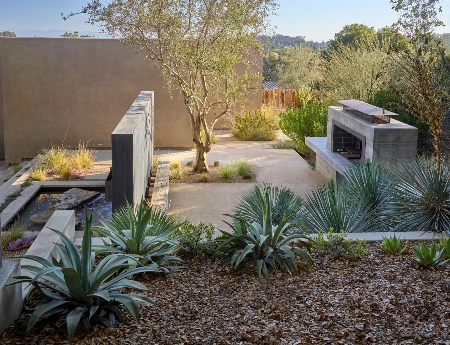 Dry Garden Poetry - image 10