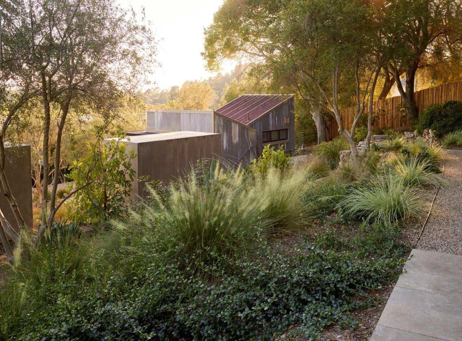 Dry Garden Poetry - image 13