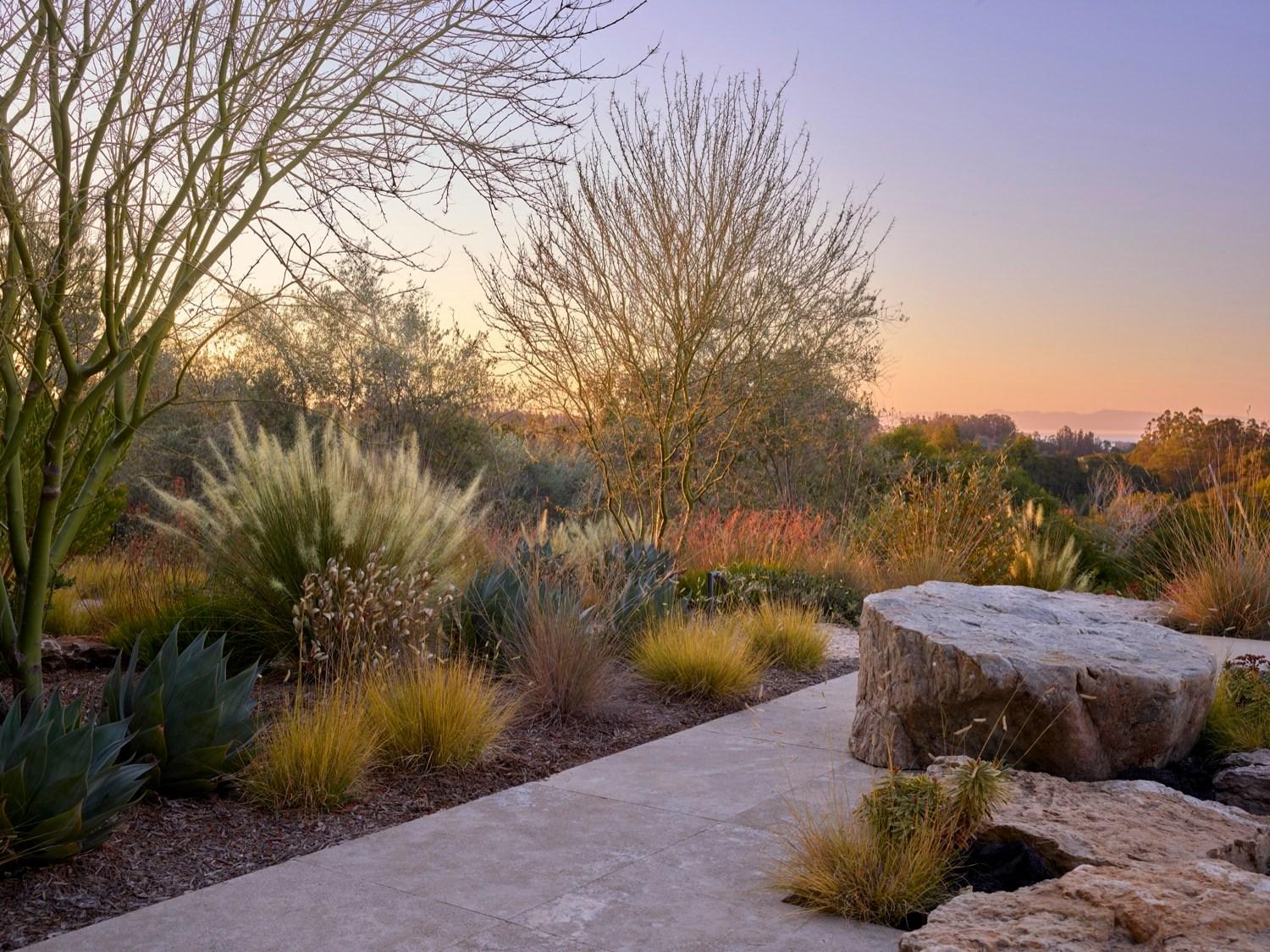 Dry Garden Poetry - image 16