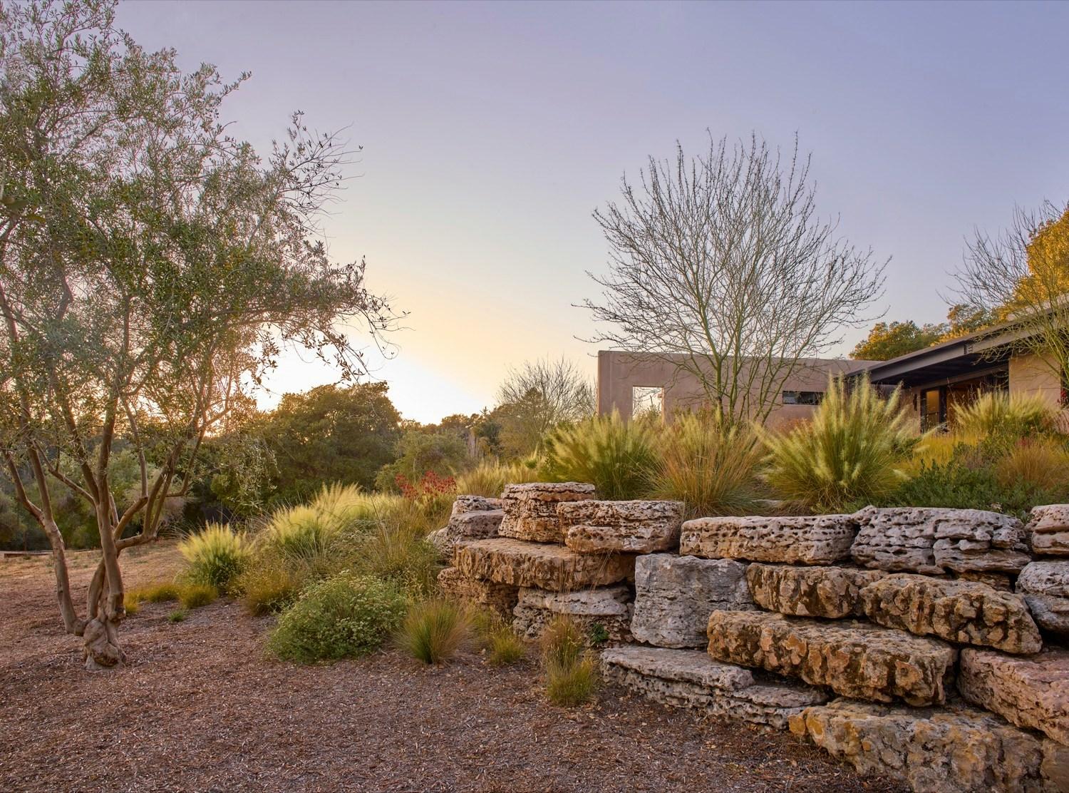 Dry Garden Poetry - image 17