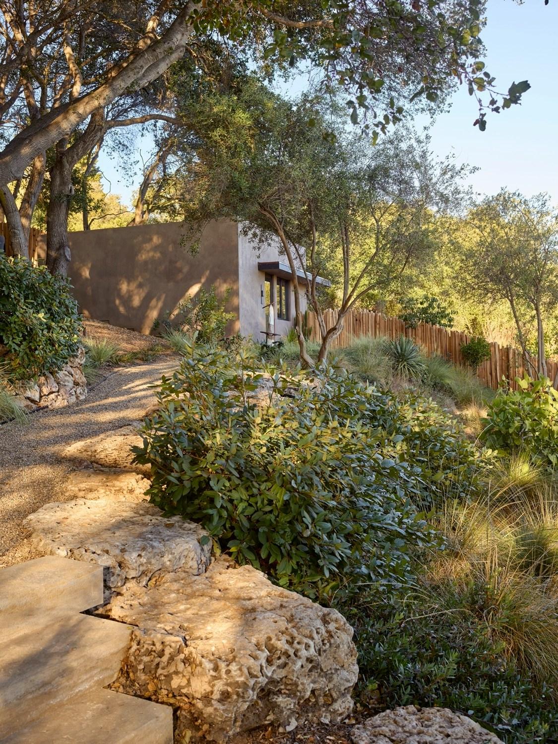 Dry Garden Poetry - image 15
