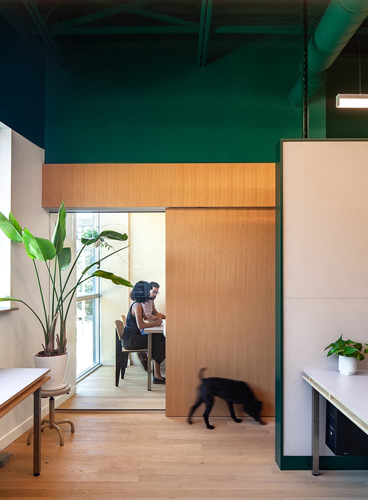 Wallace Walk Studio - image 3