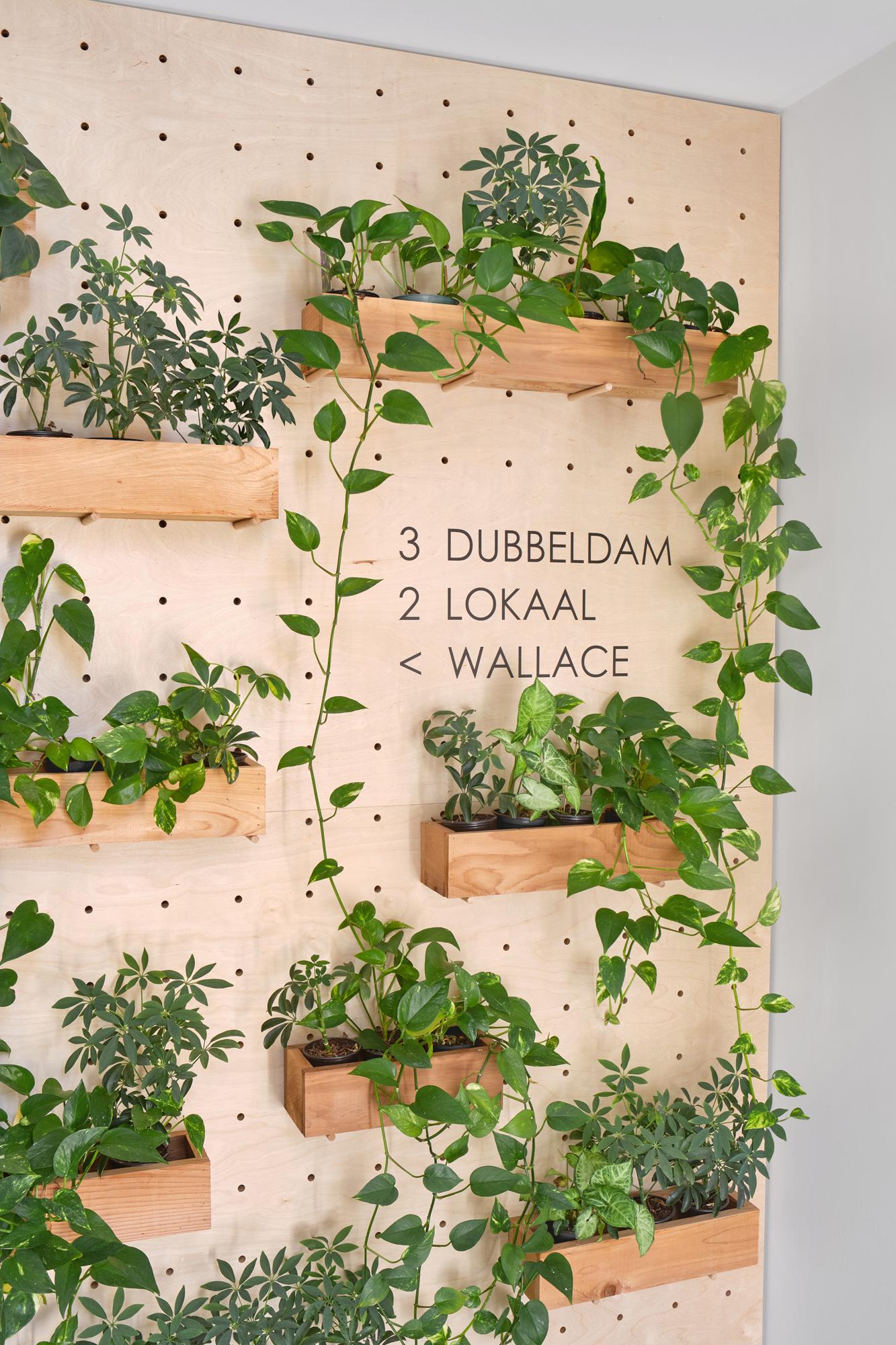 Dubbeldam Office - image 7