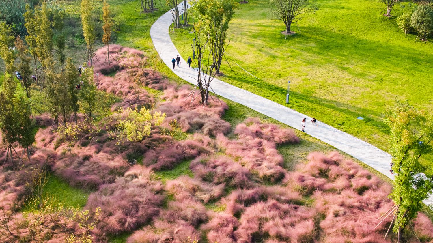 Yujidao Park, Sichuan - image 5