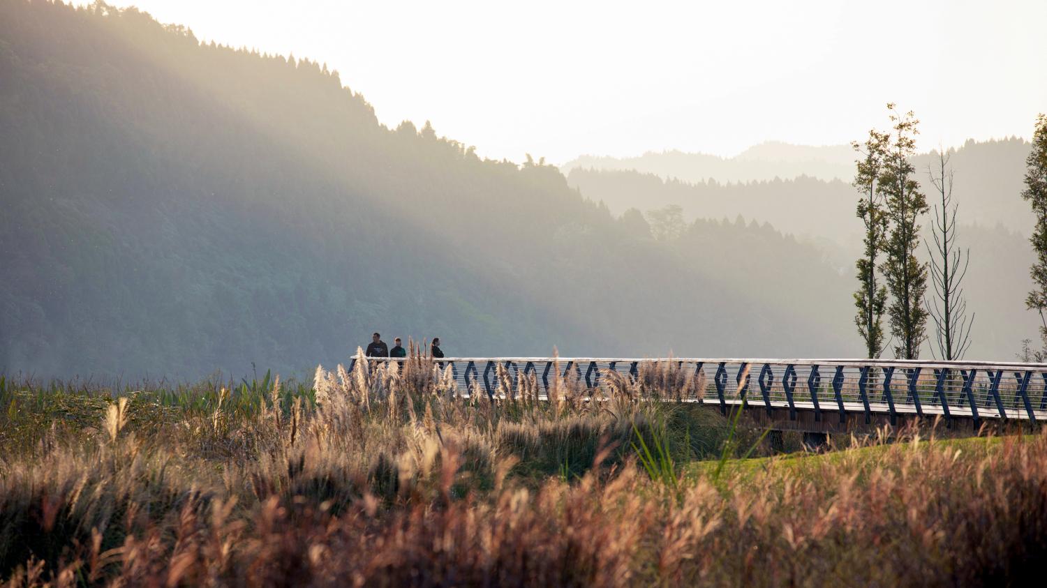 Yujidao Park, Sichuan - image 12