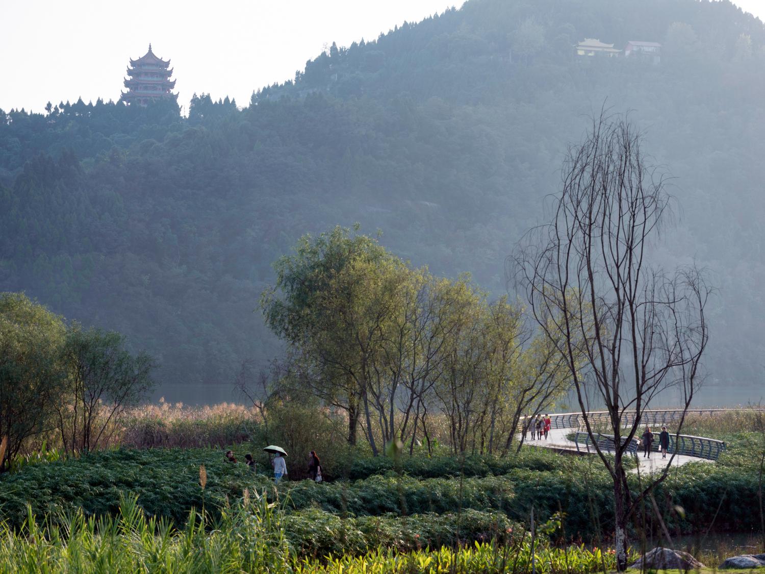 Yujidao Park, Sichuan - image 13
