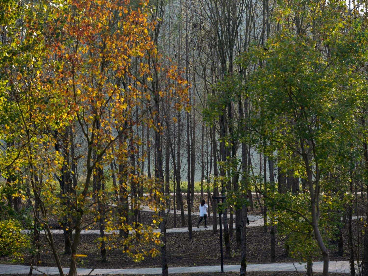 Yujidao Park, Sichuan - image 15