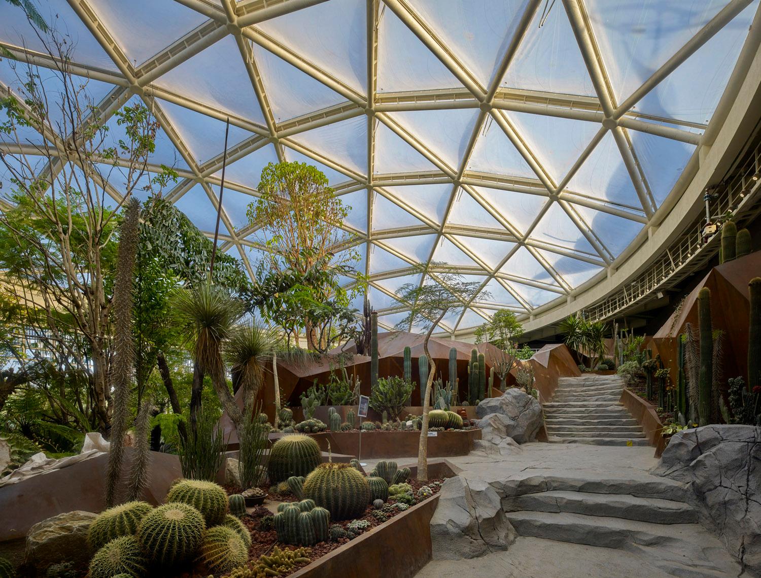 Botanic Garden of International Horticultural Exhibition 2019, Beijing - image 8