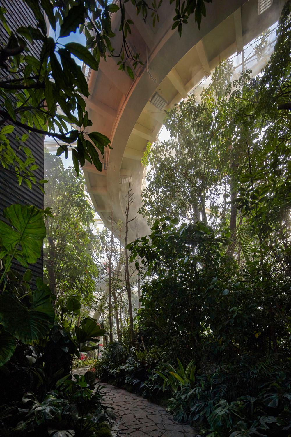 Botanic Garden of International Horticultural Exhibition 2019, Beijing - image 9