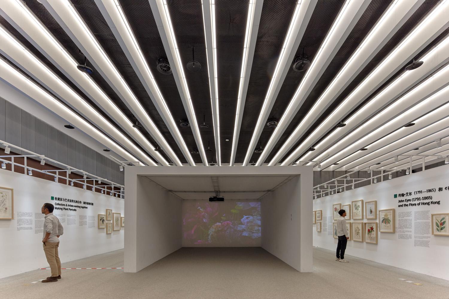 Botanic Garden of International Horticultural Exhibition 2019, Beijing - image 11