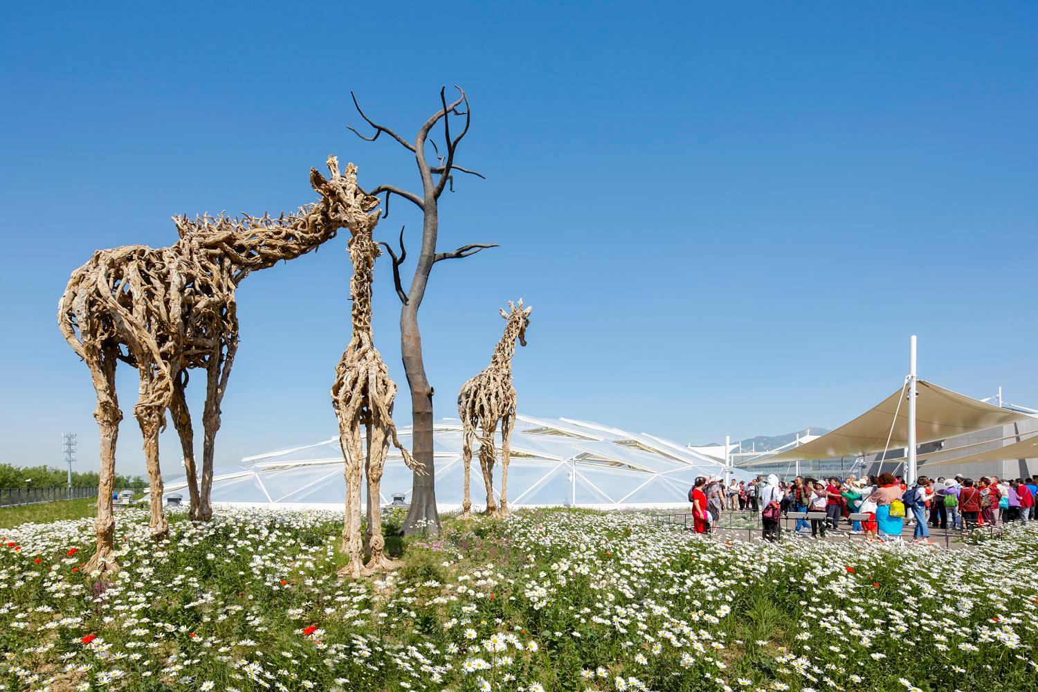 Botanic Garden of International Horticultural Exhibition 2019, Beijing - image 12