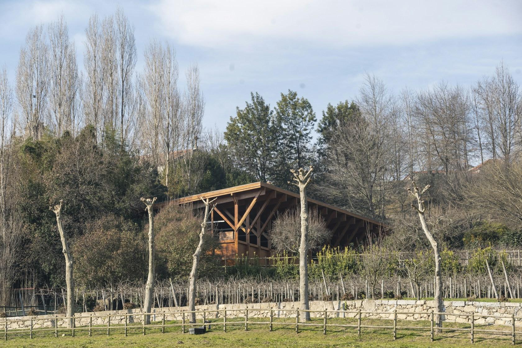 MG COUDELARIA - image 3