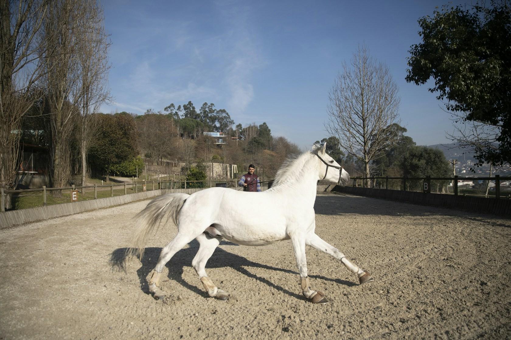 MG COUDELARIA - image 32