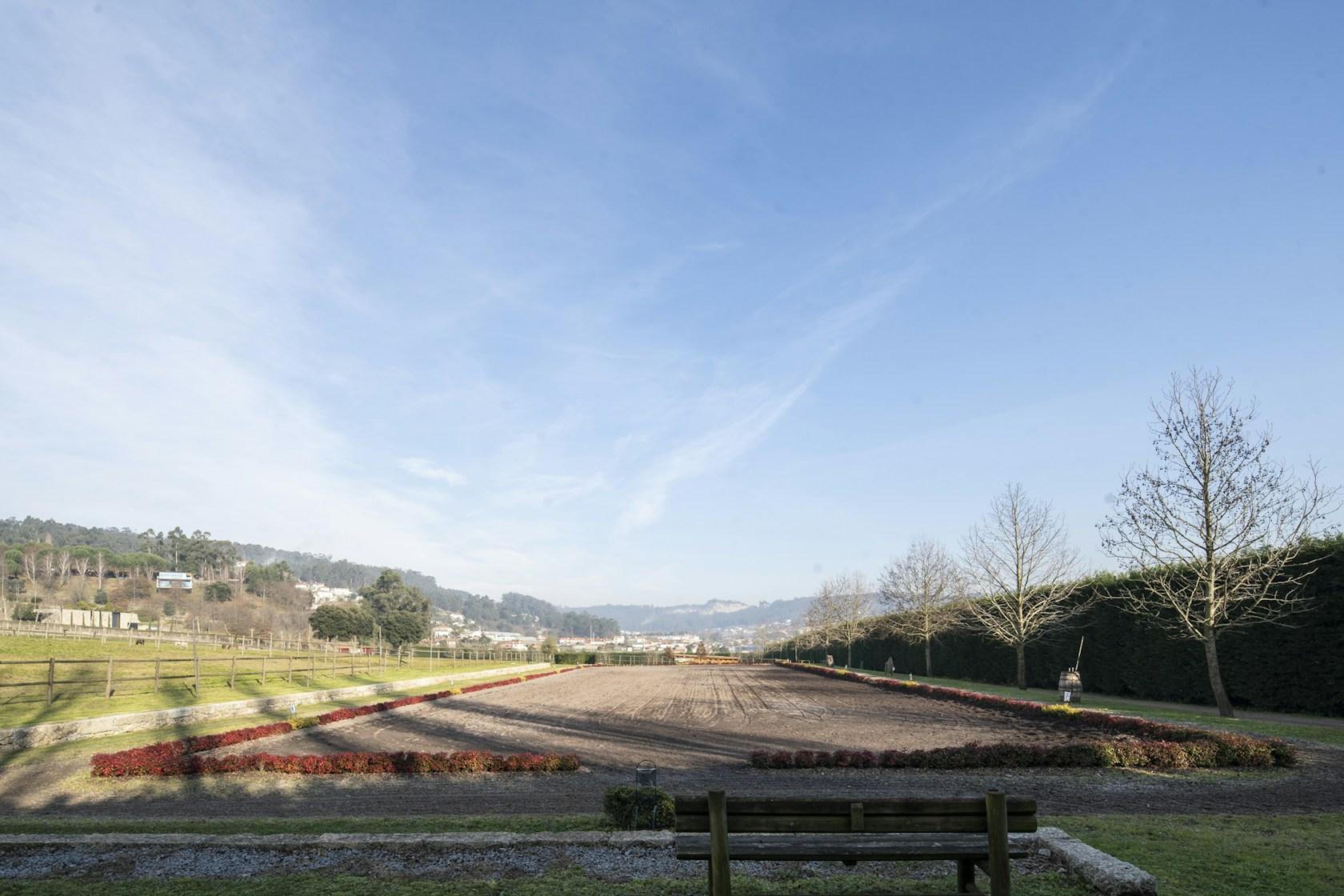 MG COUDELARIA - image 31