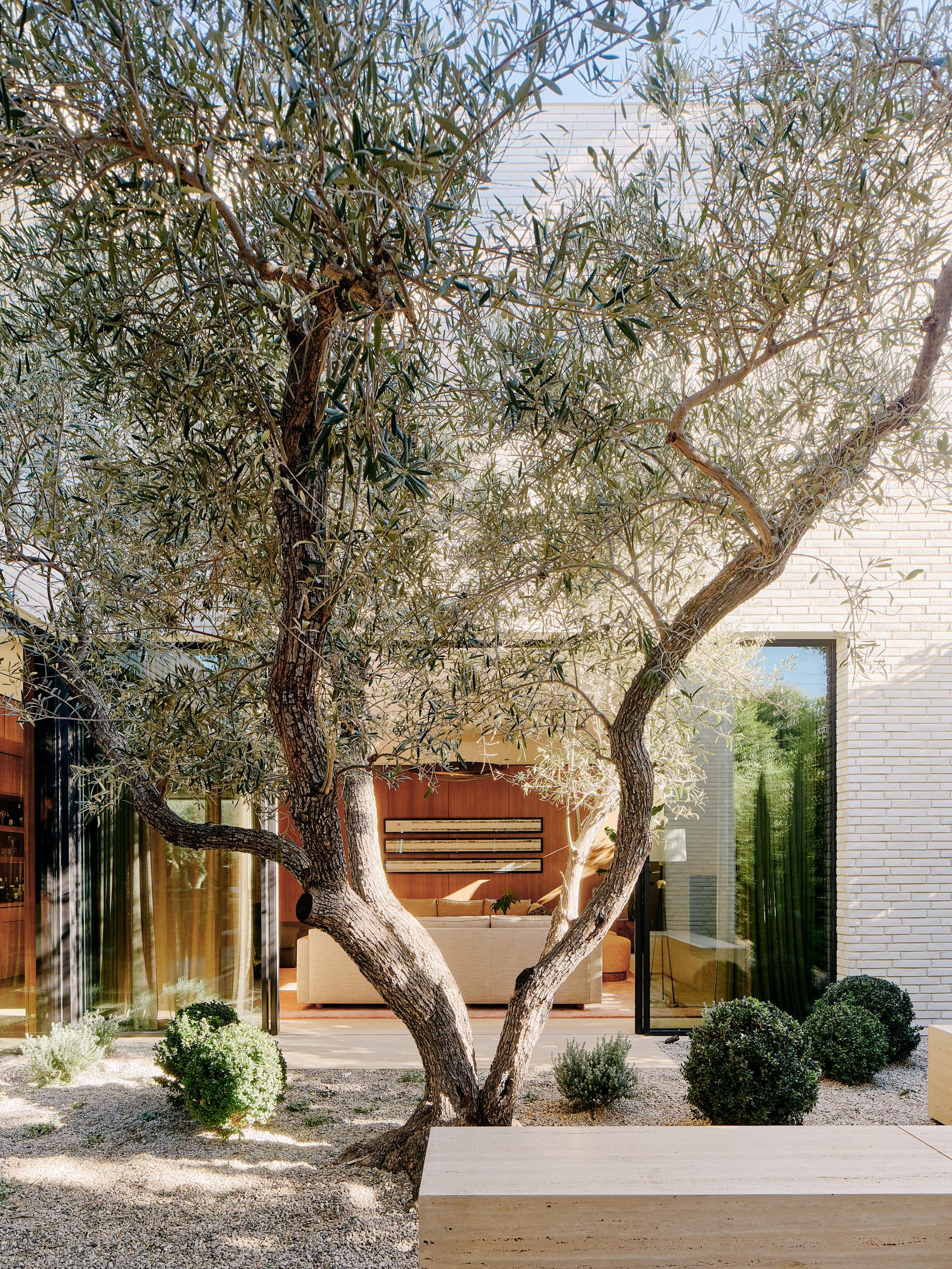 Twentieth - image 6