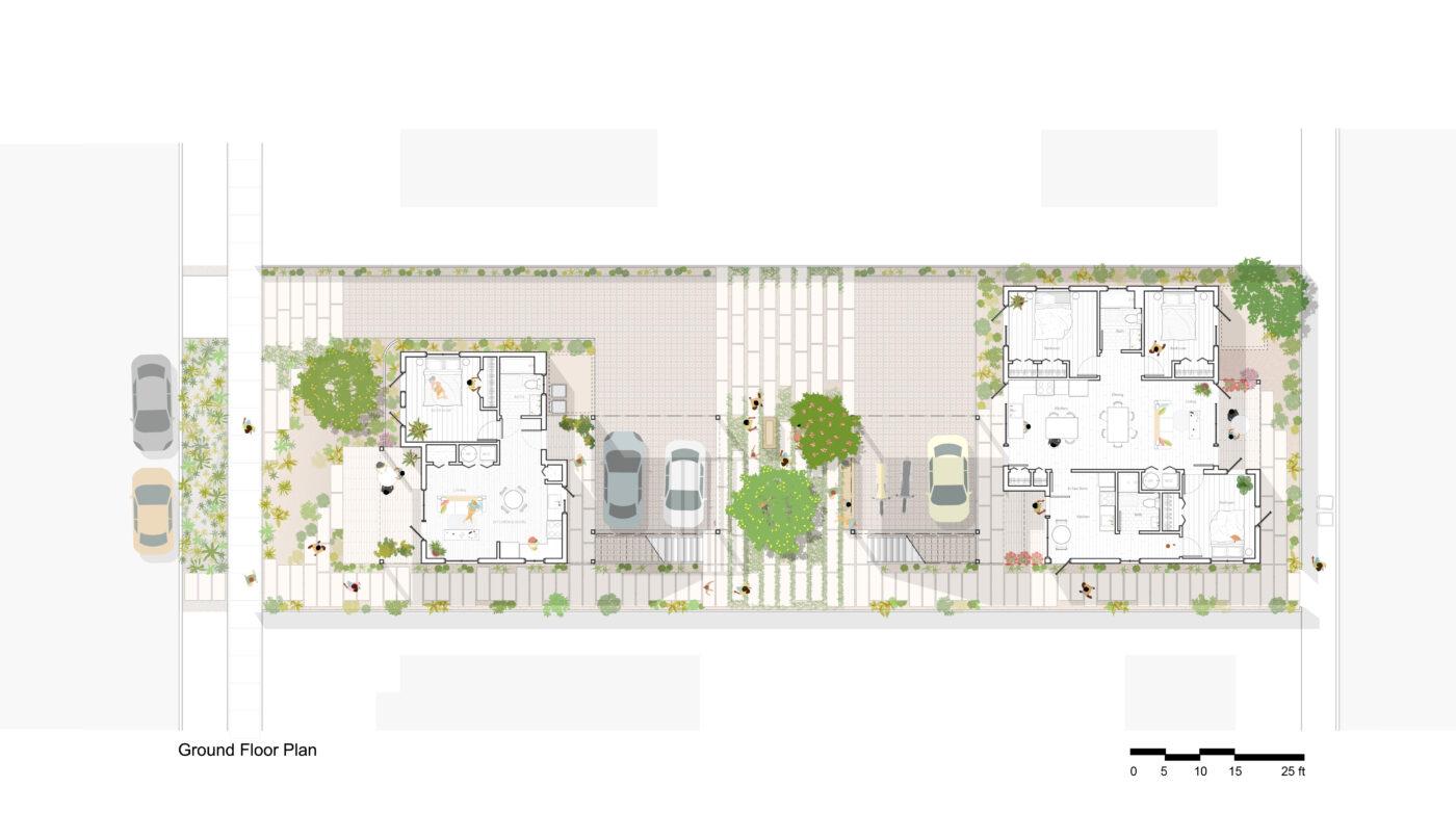 Homegrown Courts - image 7