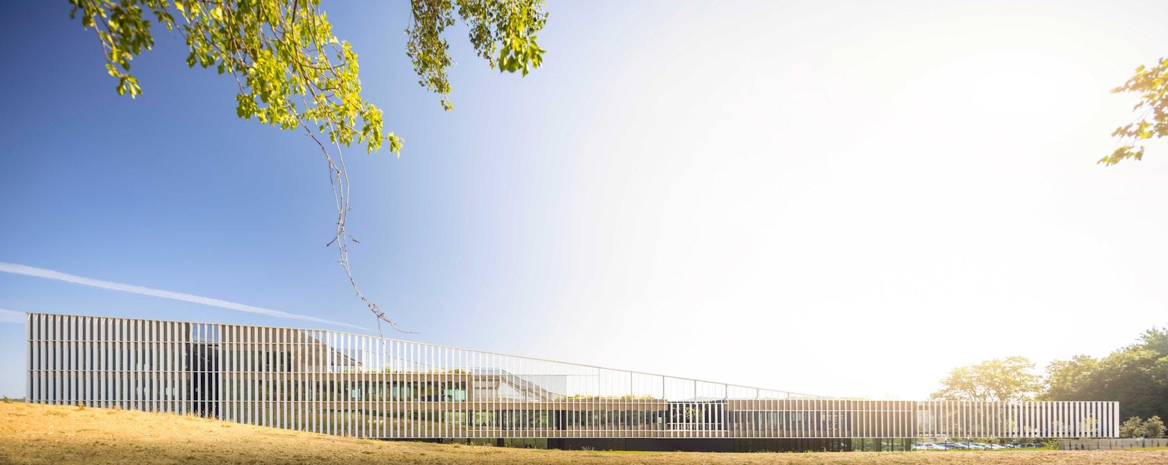 Furla Headquarters & Production Complex - image 17