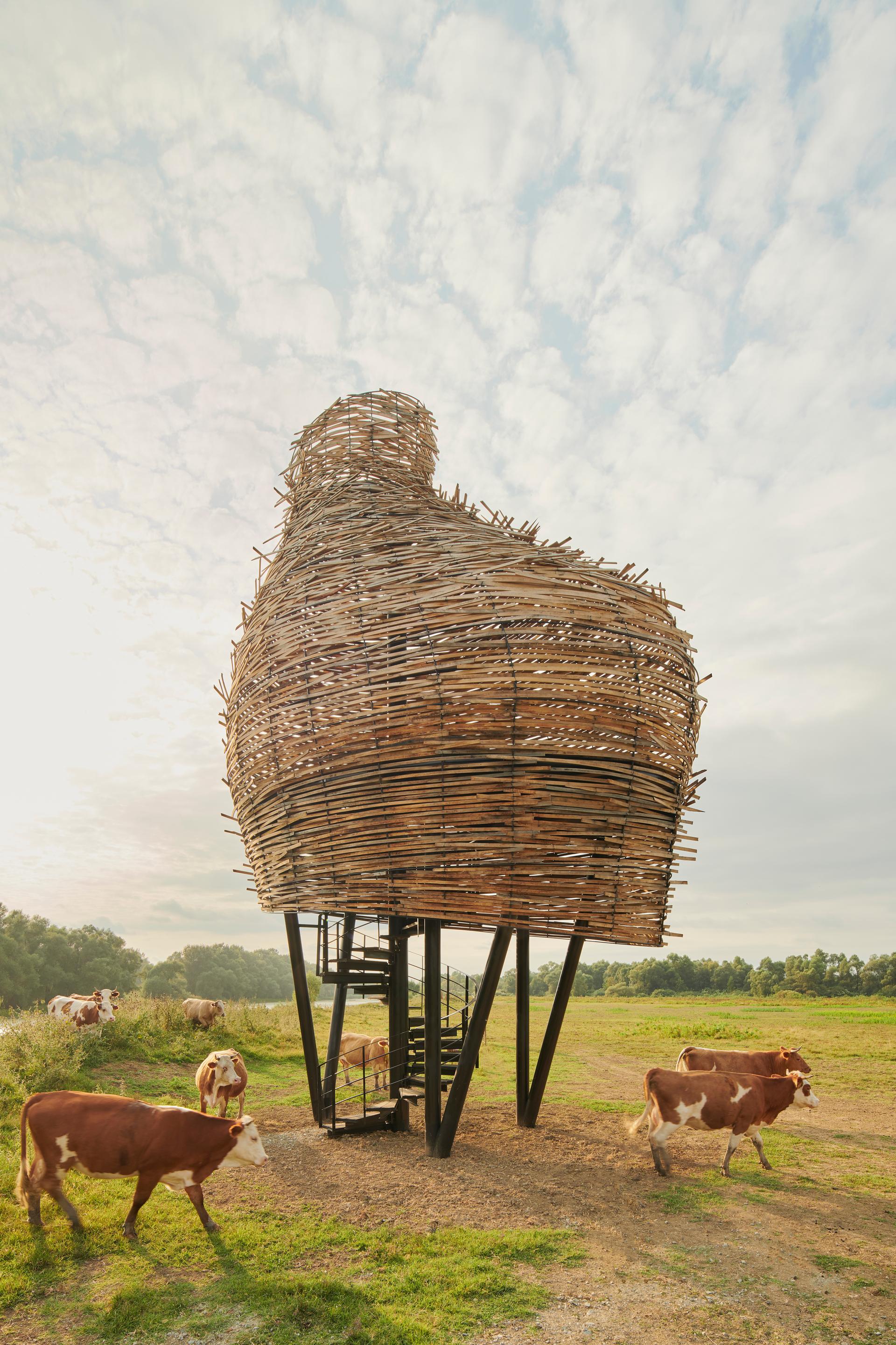 Visitor Centre and Remote Wildlife Observatories in the Lonja Field - image 12