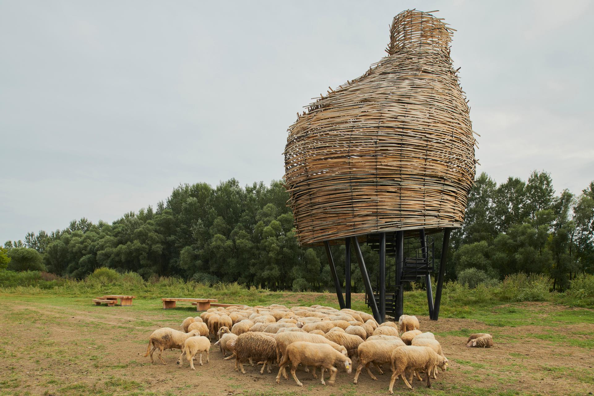 Visitor Centre and Remote Wildlife Observatories in the Lonja Field - image 15