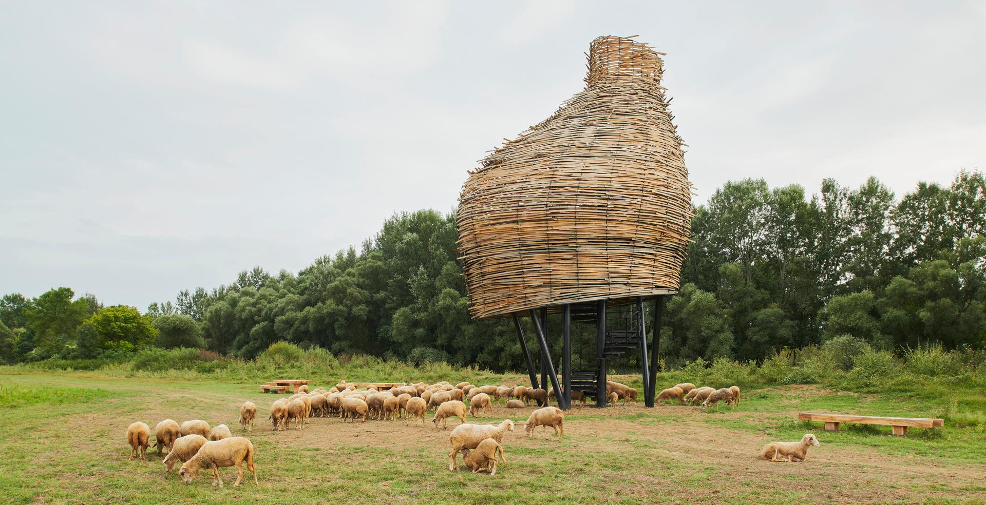 Visitor Centre and Remote Wildlife Observatories in the Lonja Field - image 2