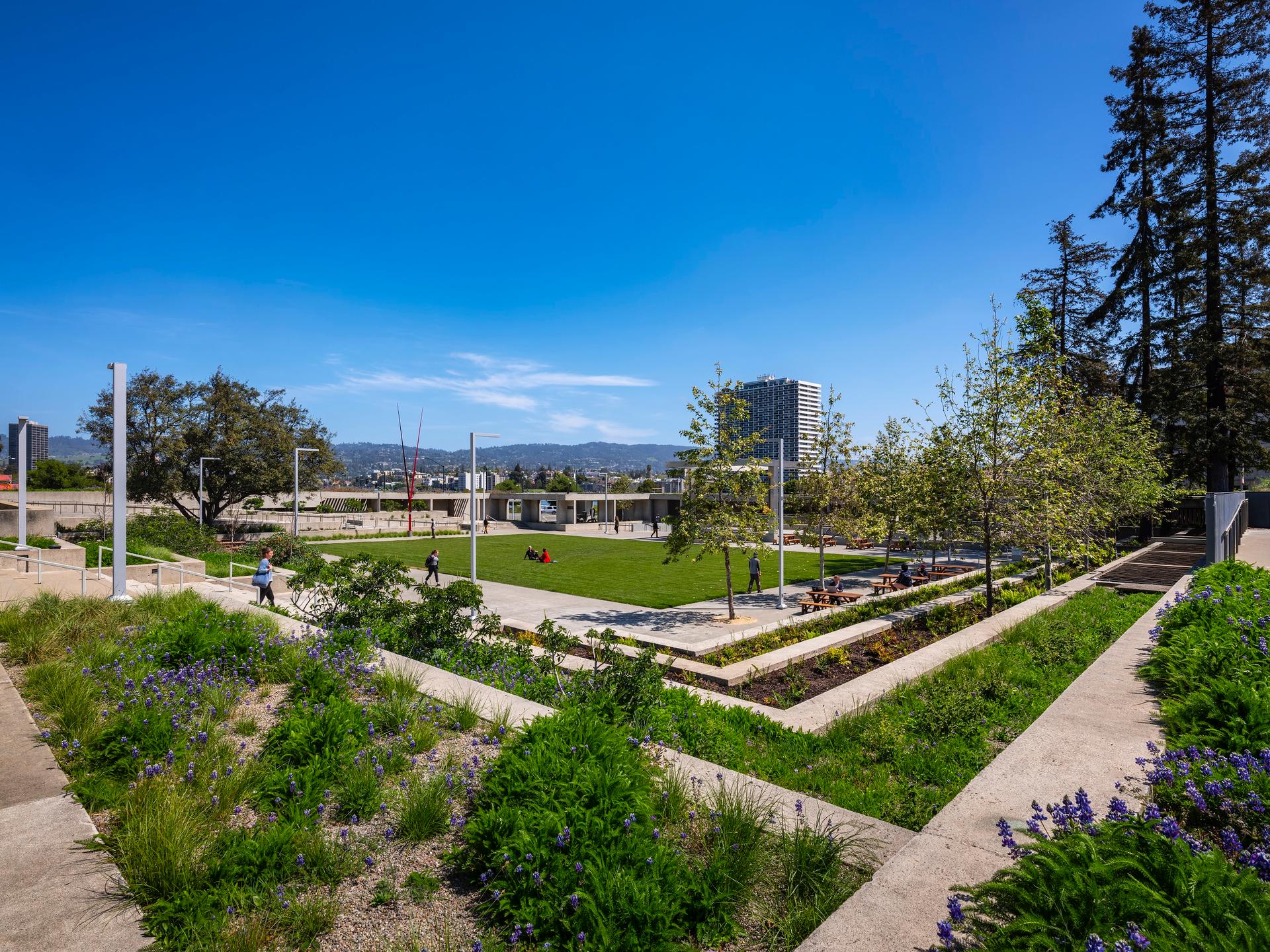 Oakland Museum of California - image 7