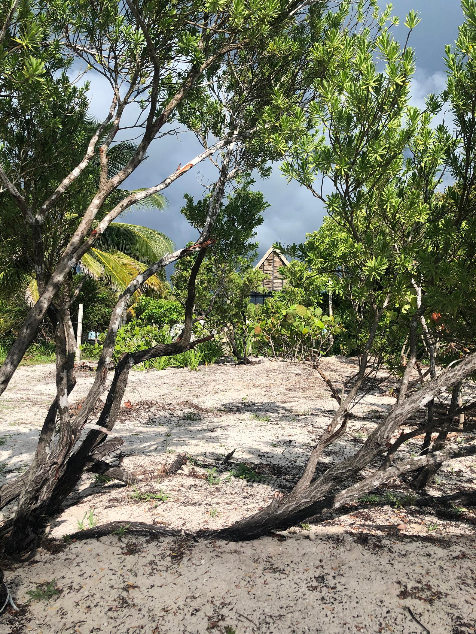 CasaTresAguas - image 4