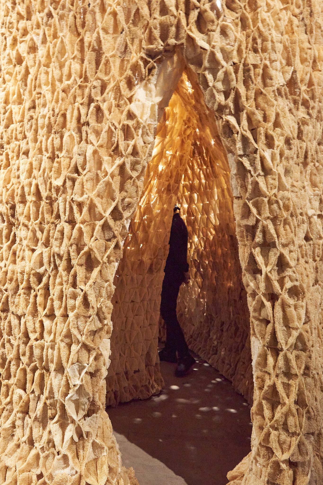 Alive: A New Spatial Contract for Multi-Species Architecture - image 3