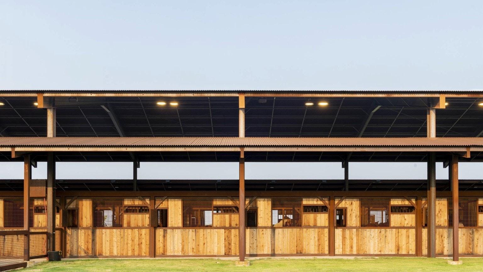 A Home for Horses - image 5