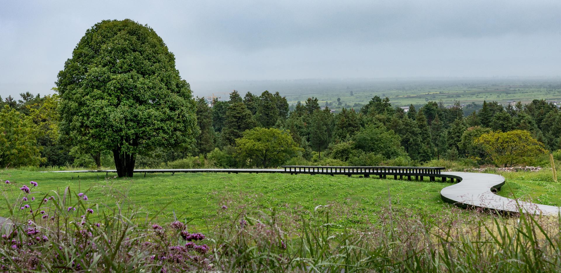 Alpine Garden and Amphitheater - image 7