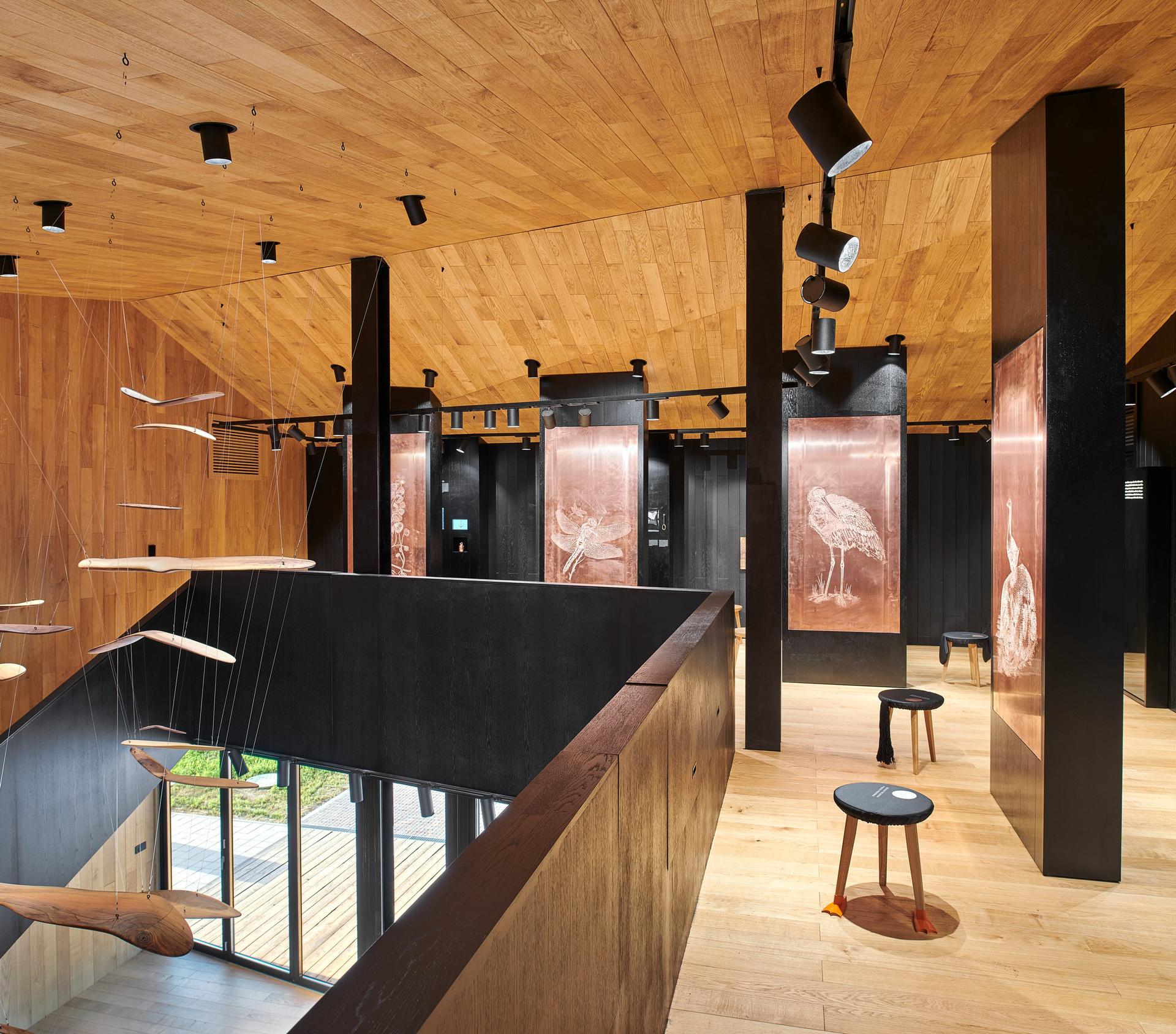 Visitor Centre and Remote Wildlife Observatories in the Lonja Field - image 10