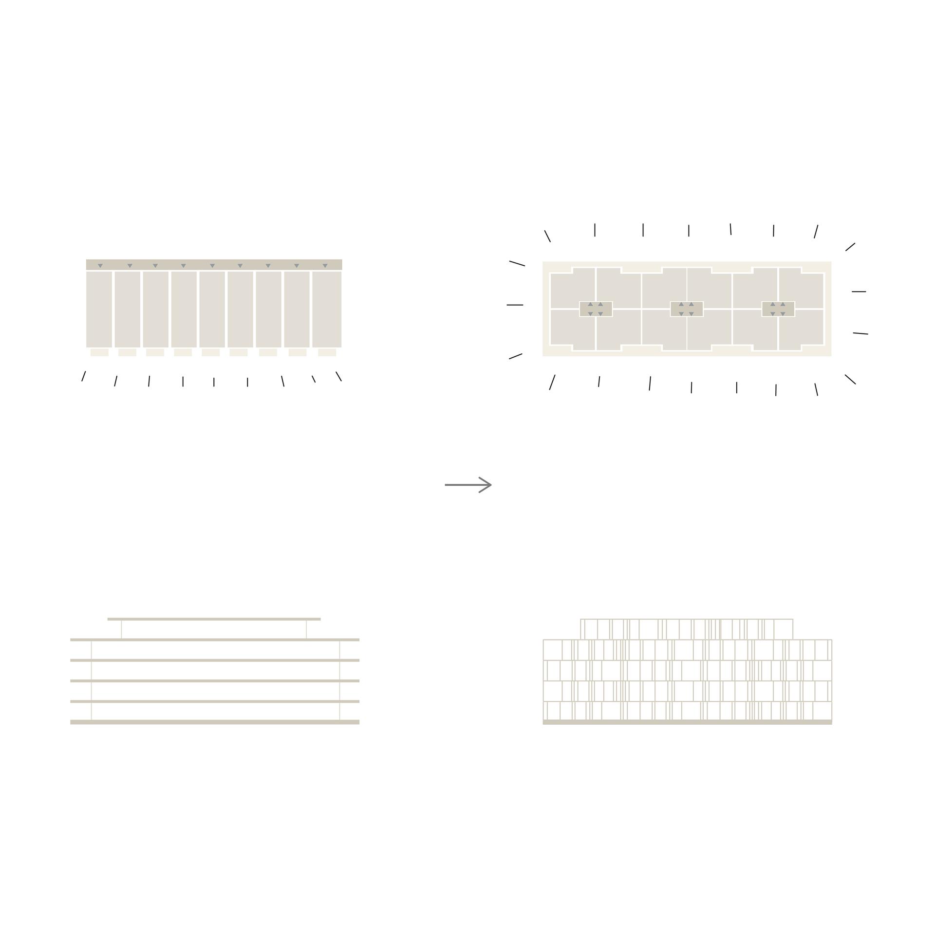 The Line - image 3