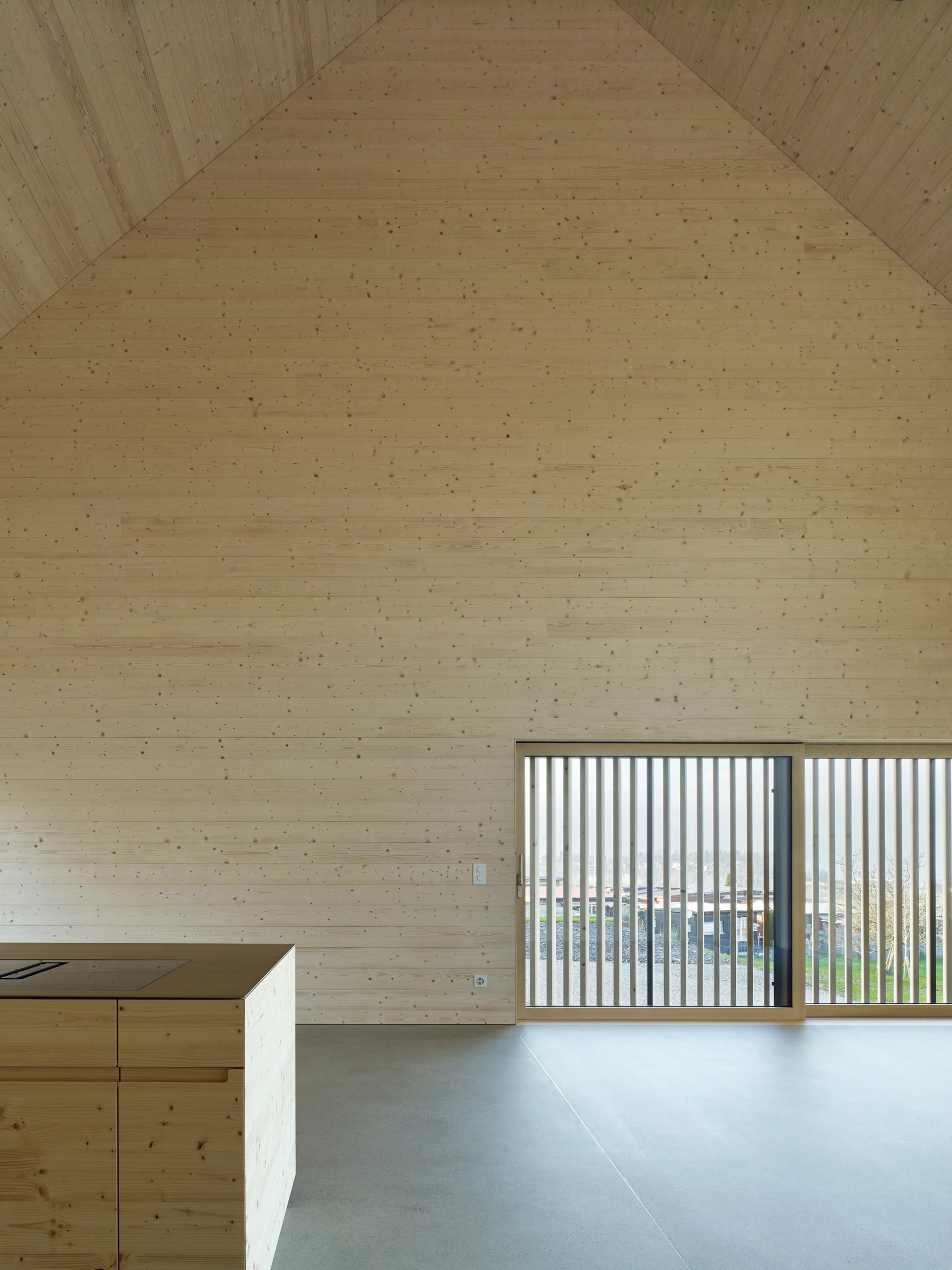 House at the Buechberg - image 4