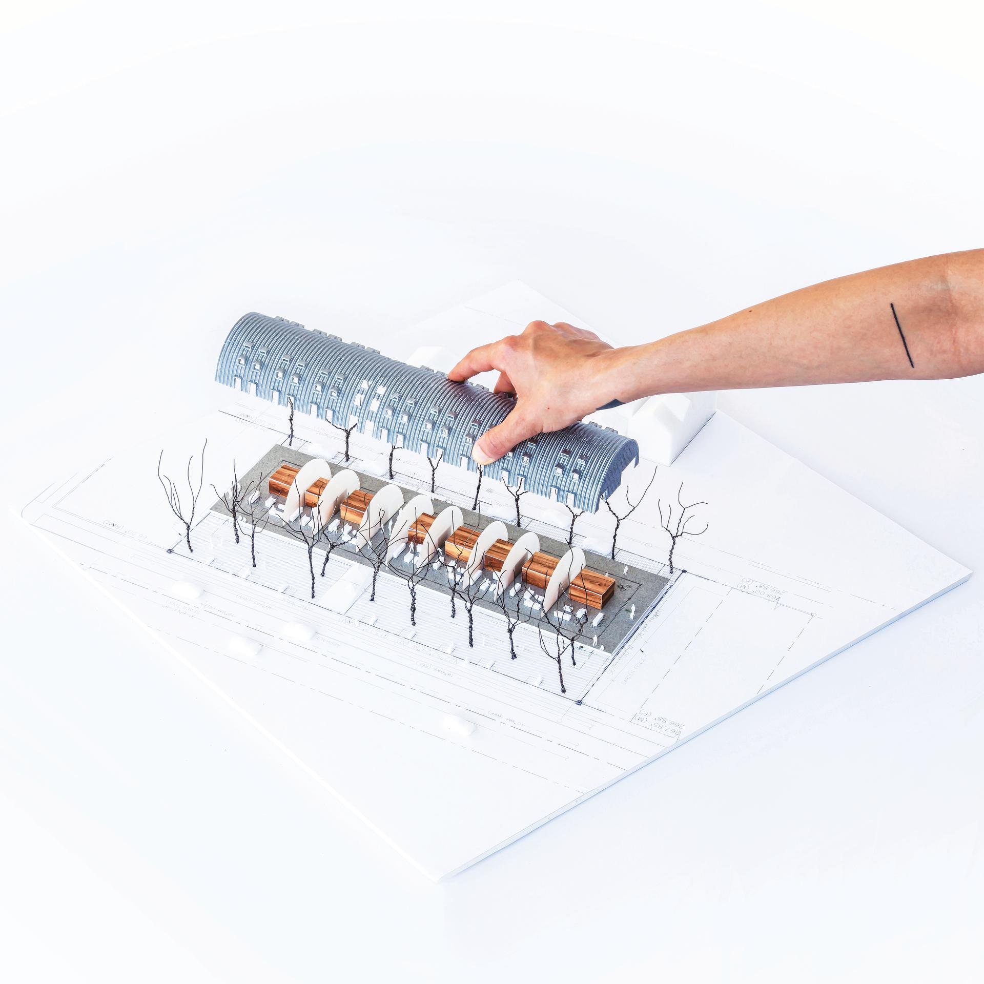 Caterpillar - image 6