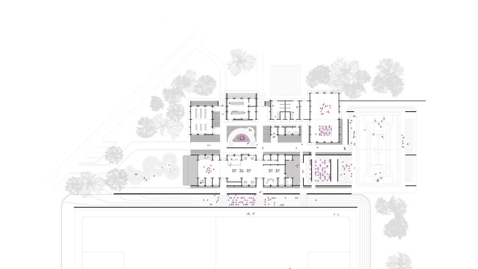 Learning & Sports Center - image 8