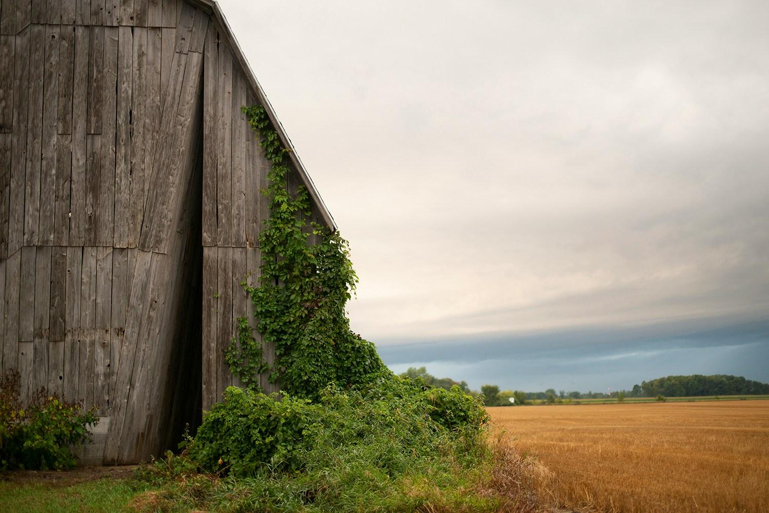 Secret Sky - image 6