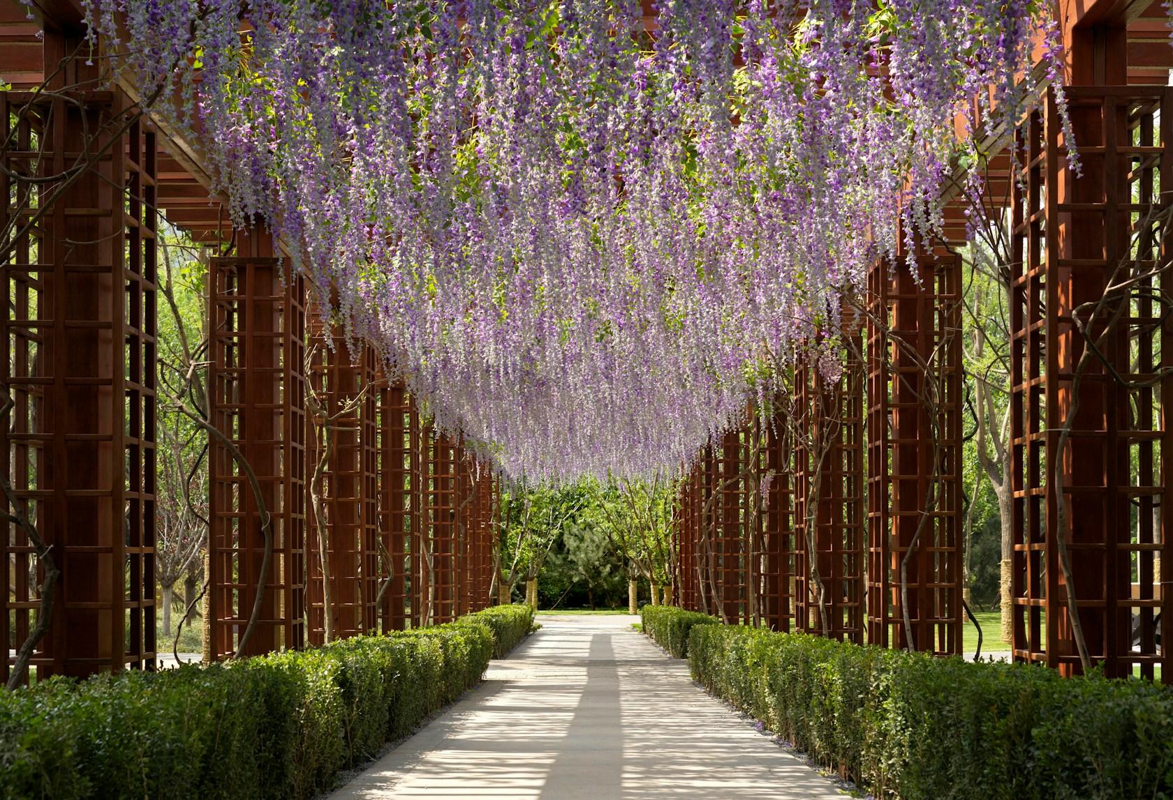 MAHA Residential Park - image 29