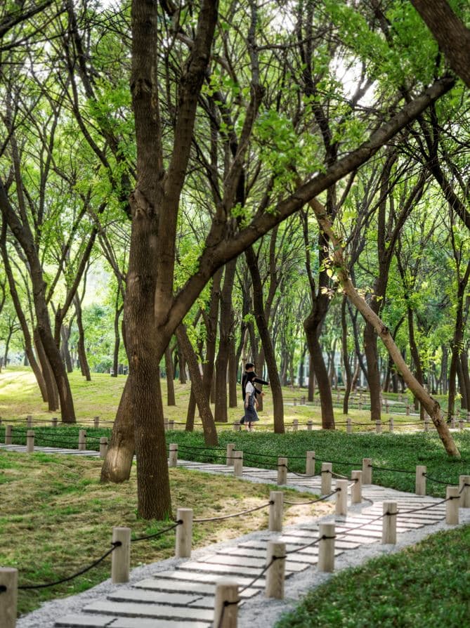 MAHA Residential Park - image 20