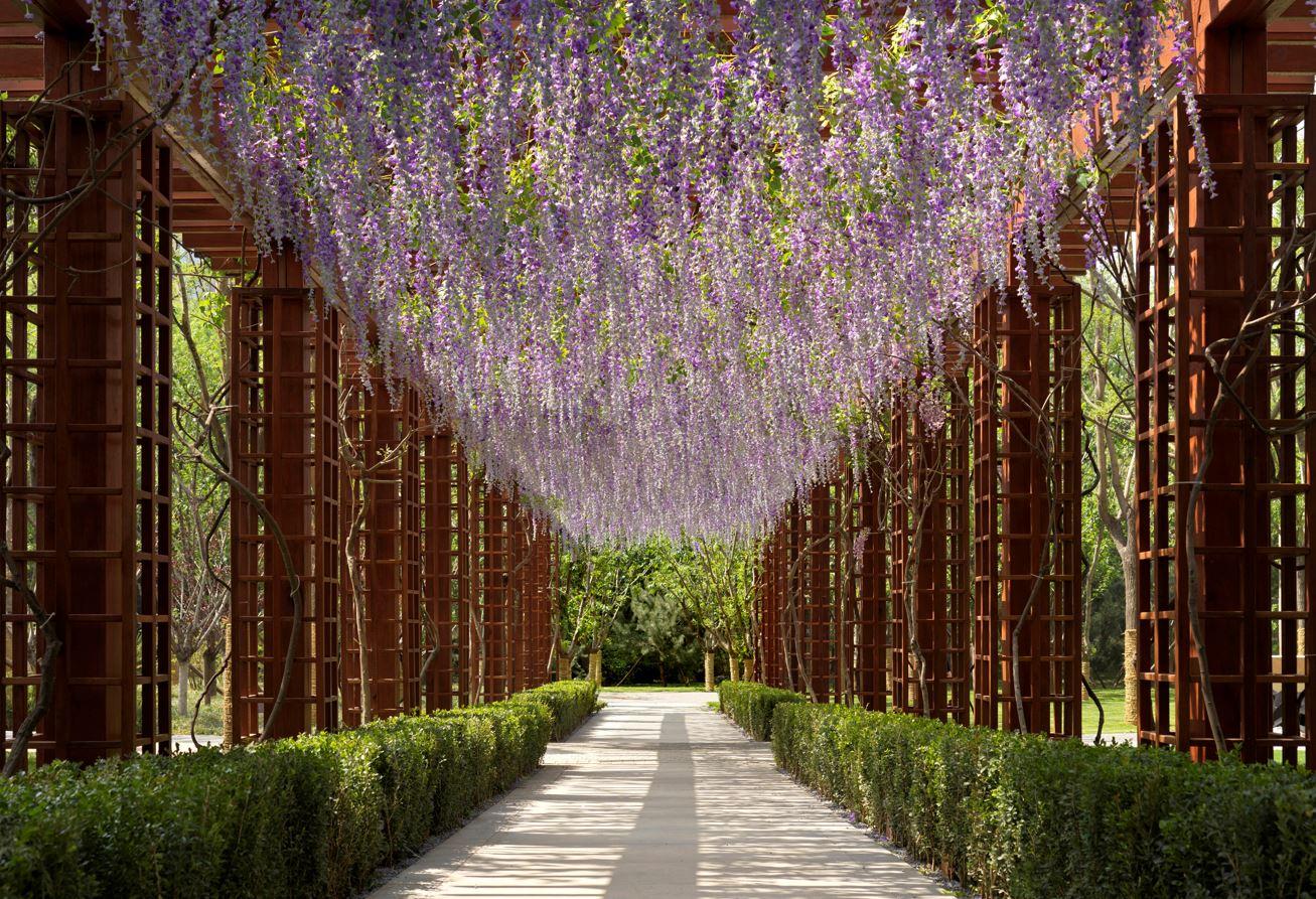 MAHA Residential Park - image 15
