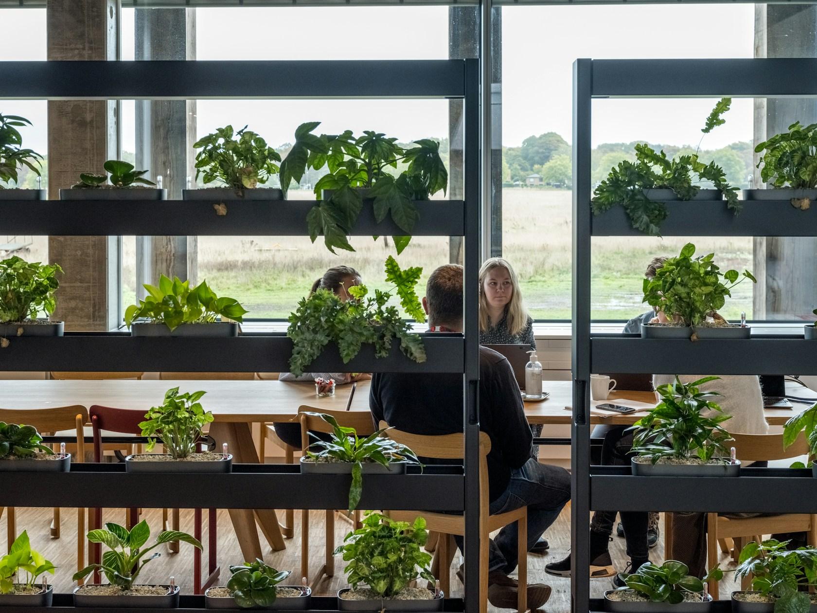 LIFE Campus - image 11