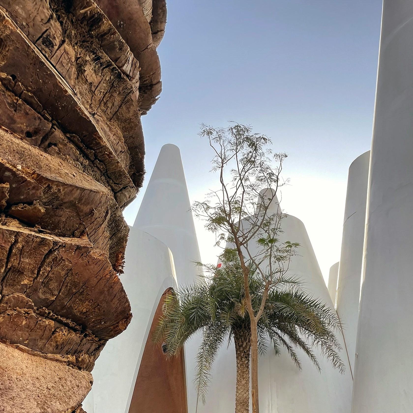 EXPO austrian pavilion dubai - image 10