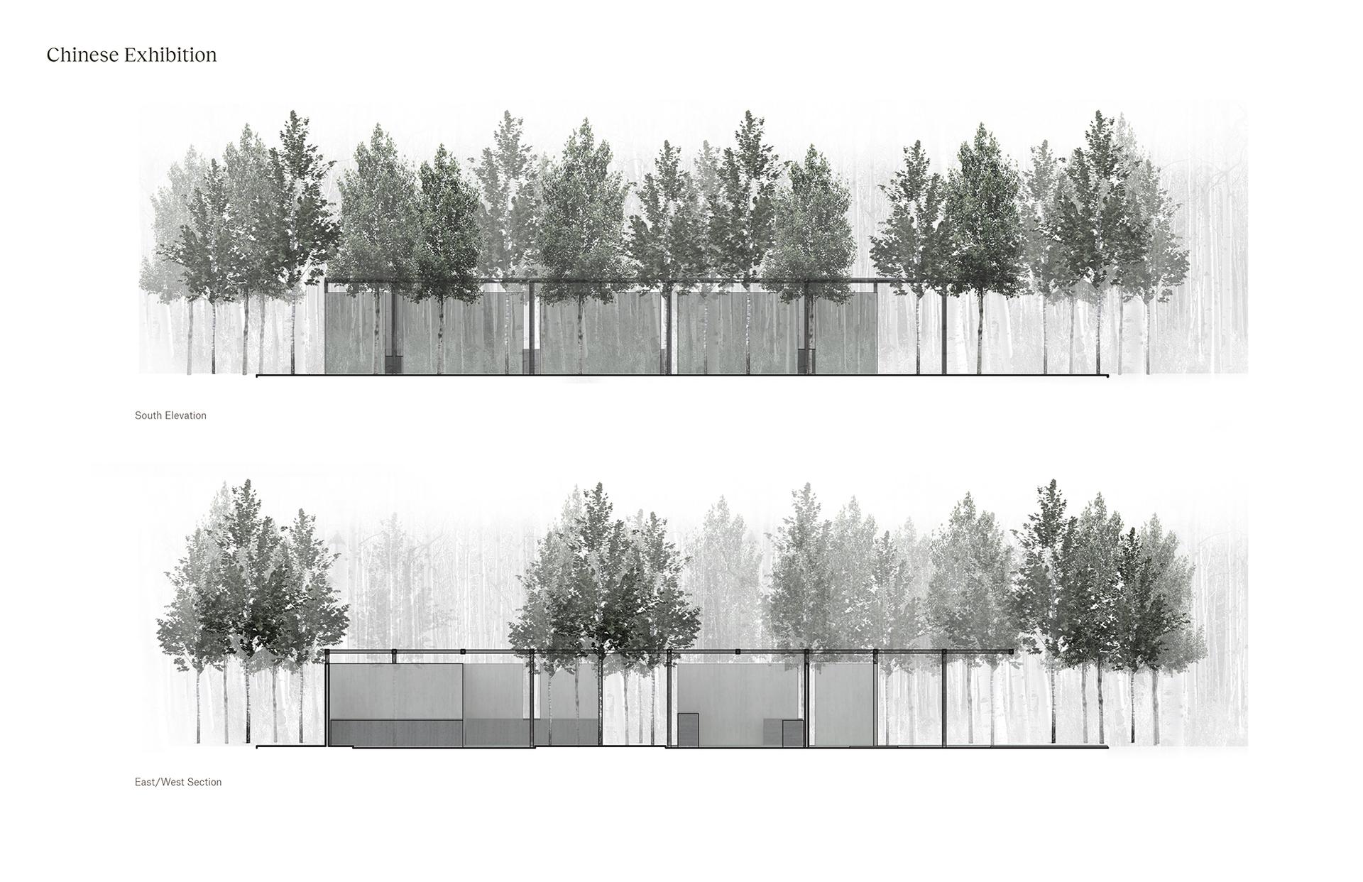 National Bonsai and Penjing Museum at the National Arboretum - image 7